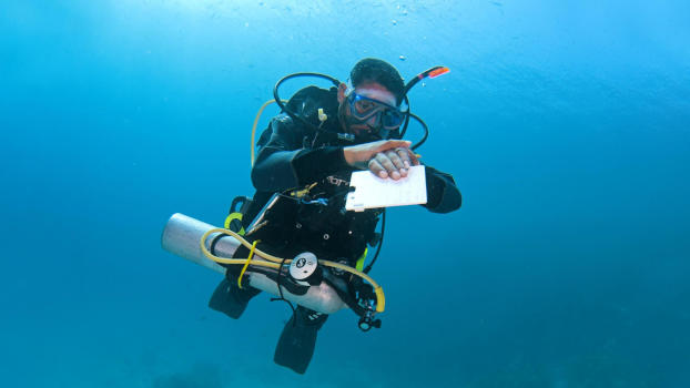 Gili Meno Wall's colourful reef.